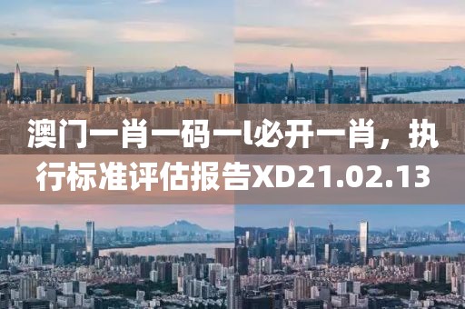 澳门一肖一码一l必开一肖，执行标准评估报告XD21.02.13