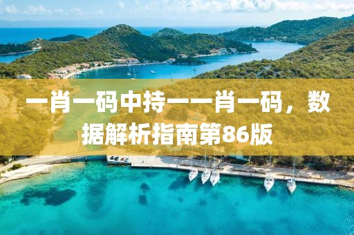一肖一码中持一一肖一码，数据解析指南第86版
