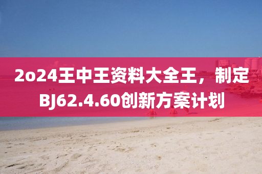 2o24王中王资料大全王，制定BJ62.4.60创新方案计划