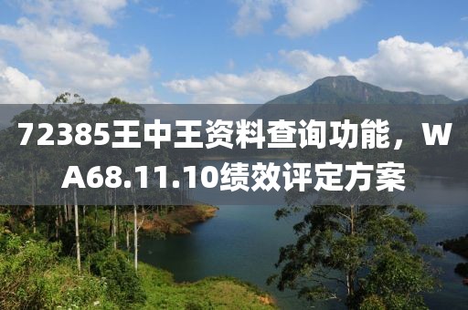 72385王中王资料查询功能，WA68.11.10绩效评定方案
