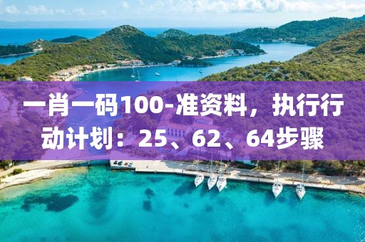 一肖一码100-准资料，执行行动计划：25、62、64步骤