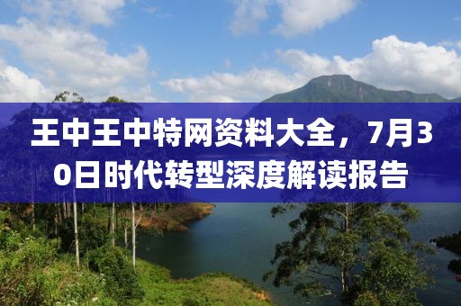 王中王中特网资料大全，7月30日时代转型深度解读报告