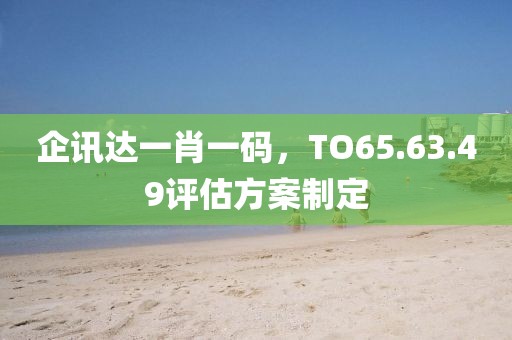 企讯达一肖一码，TO65.63.49评估方案制定