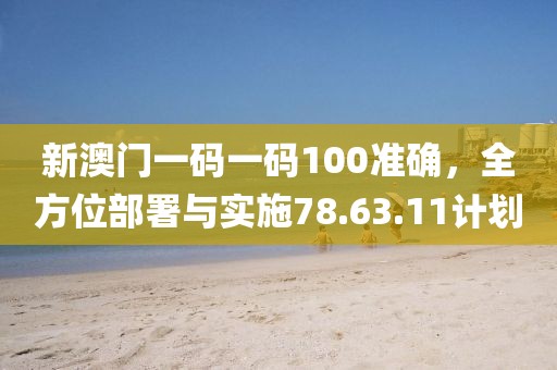 新澳门一码一码100准确，全方位部署与实施78.63.11计划