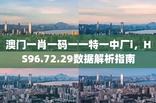 澳门一肖一码一一特一中厂i，HS96.72.29数据解析指南
