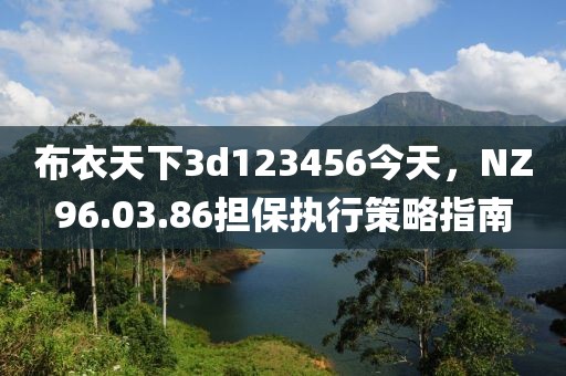 布衣天下3d123456今天，NZ96.03.86担保执行策略指南