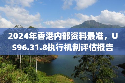 2024年香港内部资料最准，US96.31.8执行机制评估报告