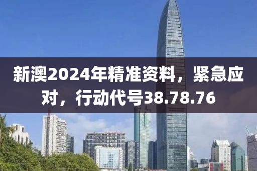 新澳2024年精准资料，紧急应对，行动代号38.78.76