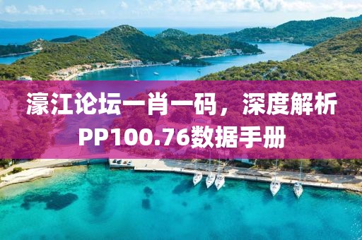 濠江论坛一肖一码，深度解析PP100.76数据手册