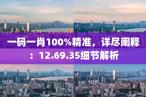 一码一肖100%精准，详尽阐释：12.69.35细节解析