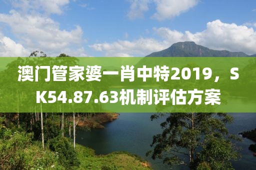 澳门管家婆一肖中特2019，SK54.87.63机制评估方案