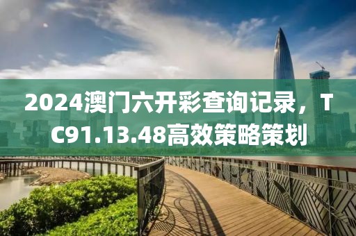 2024澳门六开彩查询记录，TC91.13.48高效策略策划
