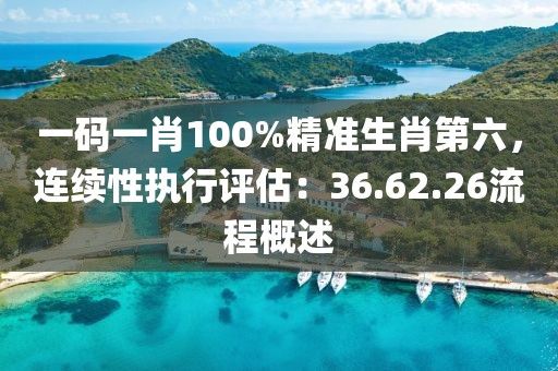 一码一肖100%精准生肖第六，连续性执行评估：36.62.26流程概述