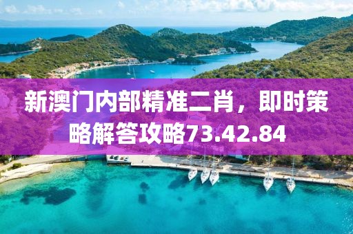 新澳门内部精准二肖，即时策略解答攻略73.42.84