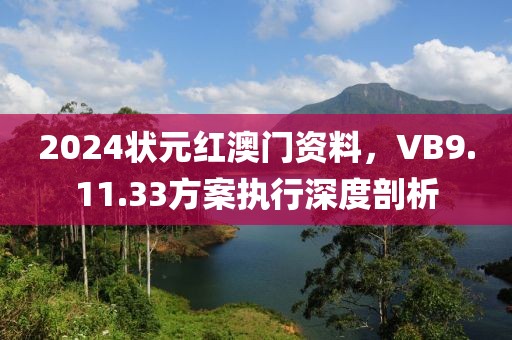 2024状元红澳门资料，VB9.11.33方案执行深度剖析