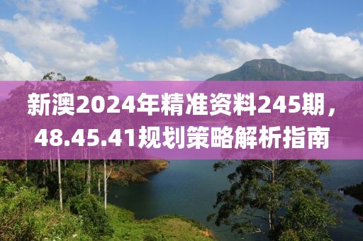 新澳2024年精准资料245期，48.45.41规划策略解析指南