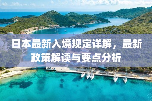 日本最新入境规定详解，最新政策解读与要点分析