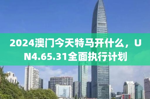 2024澳门今天特马开什么，UN4.65.31全面执行计划