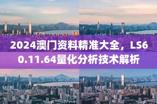 2024澳门资料精准大全，LS60.11.64量化分析技术解析