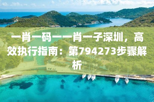 一肖一码一一肖一子深圳，高效执行指南：第794273步骤解析