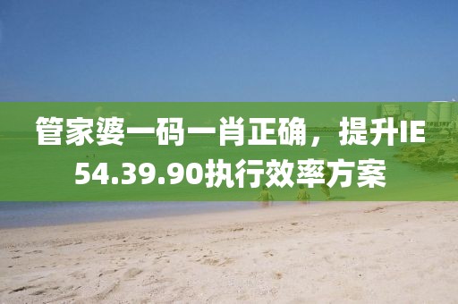 管家婆一码一肖正确，提升IE54.39.90执行效率方案