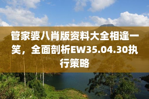 管家婆八肖版资料大全相逢一笑，全面剖析EW35.04.30执行策略