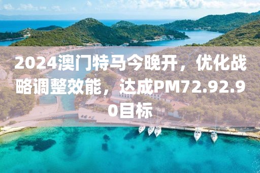 2024澳门特马今晚开，优化战略调整效能，达成PM72.92.90目标