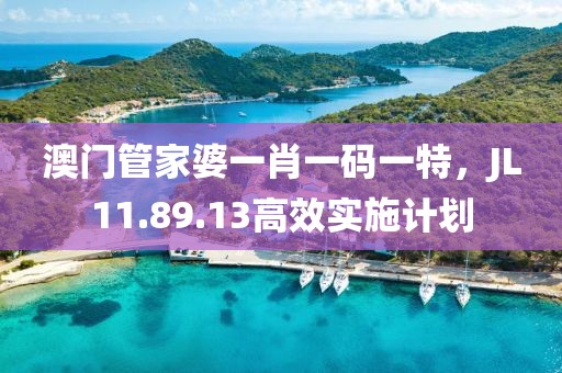 澳门管家婆一肖一码一特，JL11.89.13高效实施计划