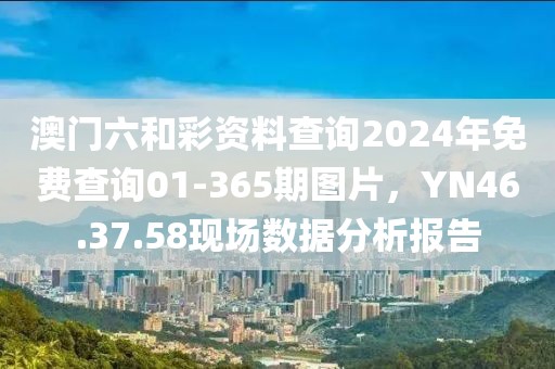 澳门六和彩资料查询2024年免费查询01-365期图片，YN46.37.58现场数据分析报告