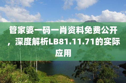 管家婆一码一肖资料免费公开，深度解析LB81.11.71的实际应用