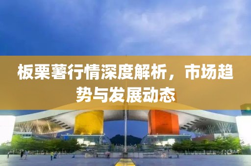 板栗薯行情深度解析，市场趋势与发展动态