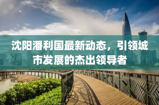 沈阳潘利国最新动态，引领城市发展的杰出领导者