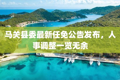 马关县委最新任免公告发布，人事调整一览无余
