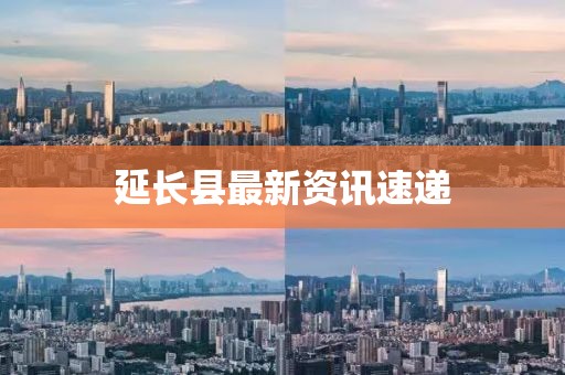 延长县最新资讯速递