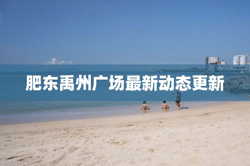 肥东禹州广场最新动态更新