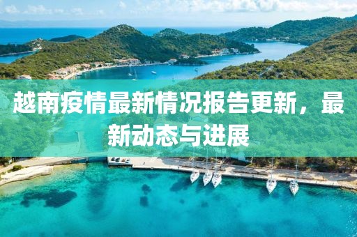 越南疫情最新情况报告更新，最新动态与进展