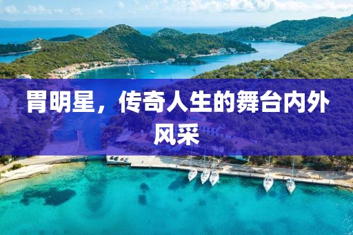 胃明星，传奇人生的舞台内外风采