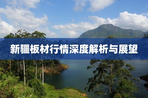 新疆板材行情深度解析与展望