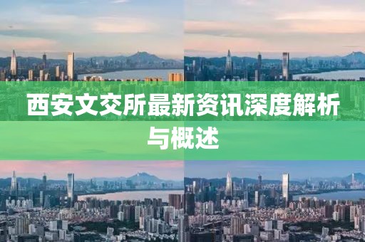 西安文交所最新资讯深度解析与概述