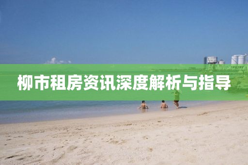 柳市租房资讯深度解析与指导