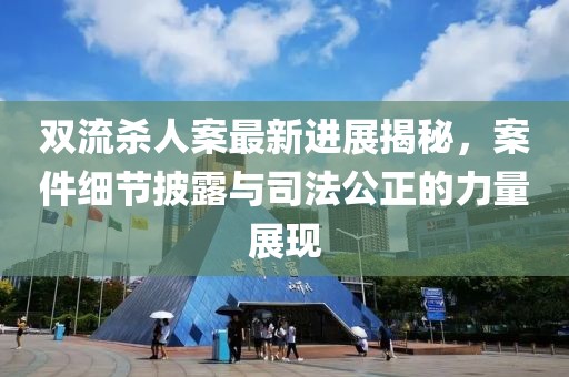 双流杀人案最新进展揭秘，案件细节披露与司法公正的力量展现
