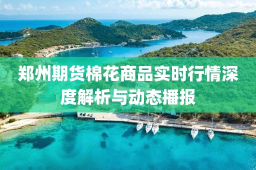 郑州期货棉花商品实时行情深度解析与动态播报