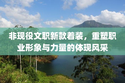 非现役文职新款着装，重塑职业形象与力量的体现风采