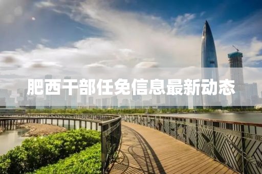 肥西干部任免信息最新动态