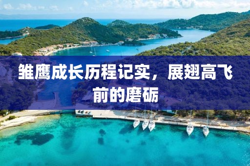 雏鹰成长历程记实，展翅高飞前的磨砺