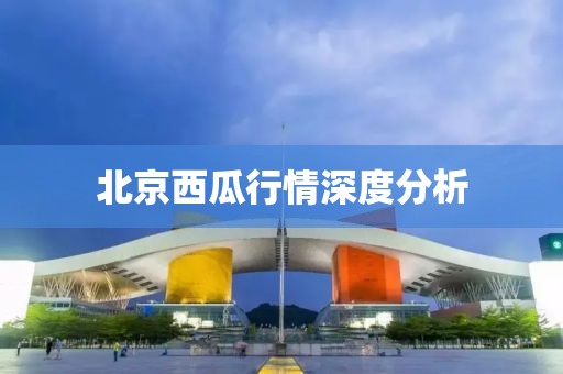 北京西瓜行情深度分析