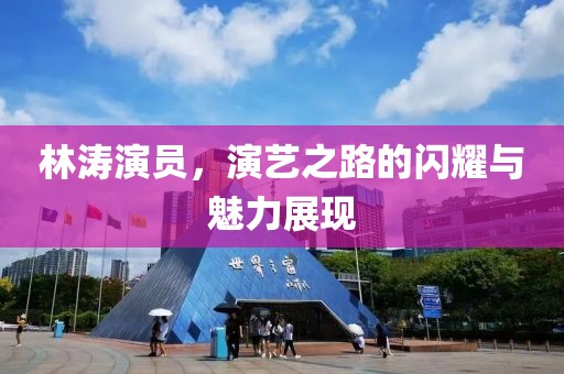 林涛演员，演艺之路的闪耀与魅力展现