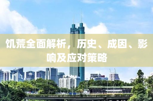 饥荒全面解析，历史、成因、影响及应对策略