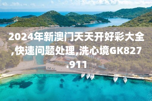 2024年新澳门天天开好彩大全,快速问题处理,洗心境GK827.911