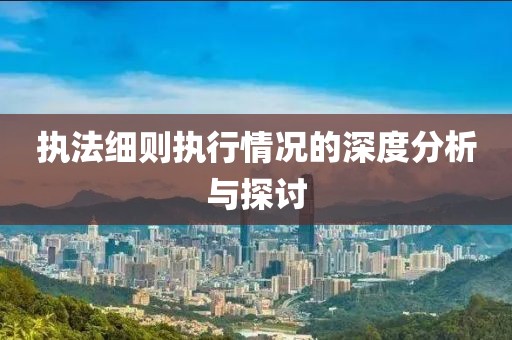 执法细则执行情况的深度分析与探讨